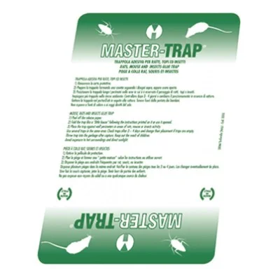 Master Trap Cartoncino Collante 50 pz